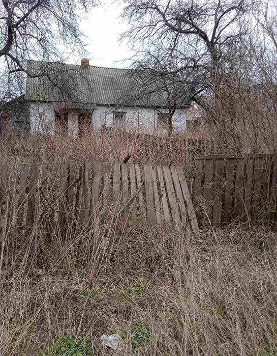 Земля Теснівка Коростишівський