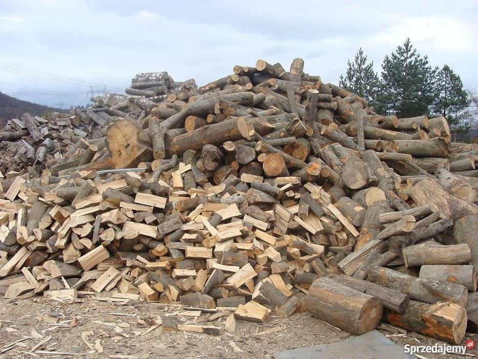 Drewno kominkowe opałowe