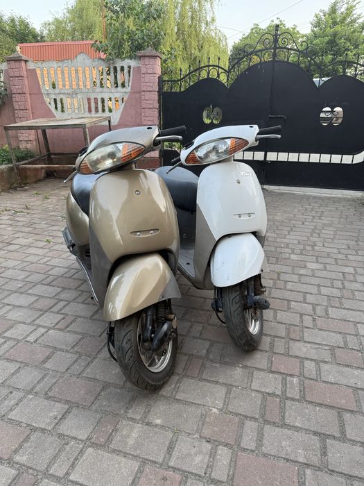 Honda tack 51 з контейнера