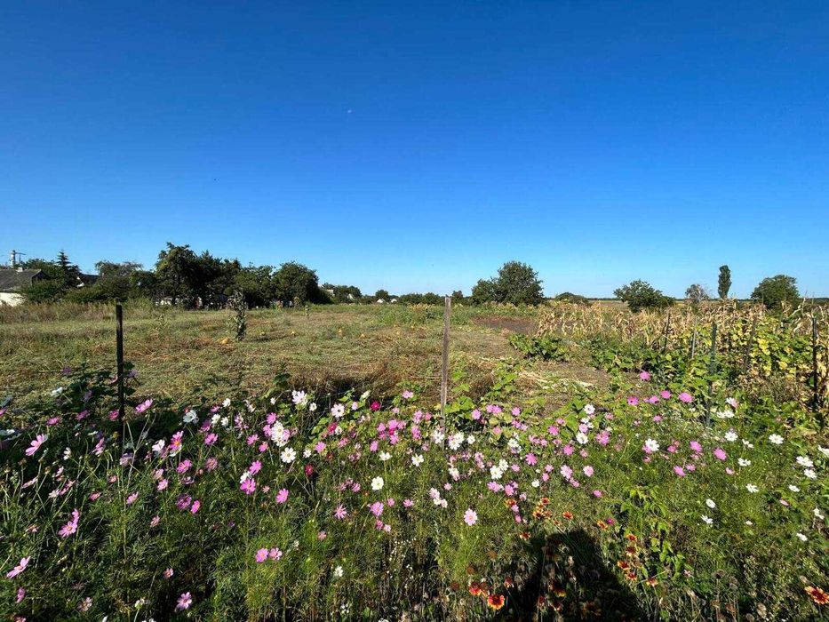 Продаж будинку с.Озерна