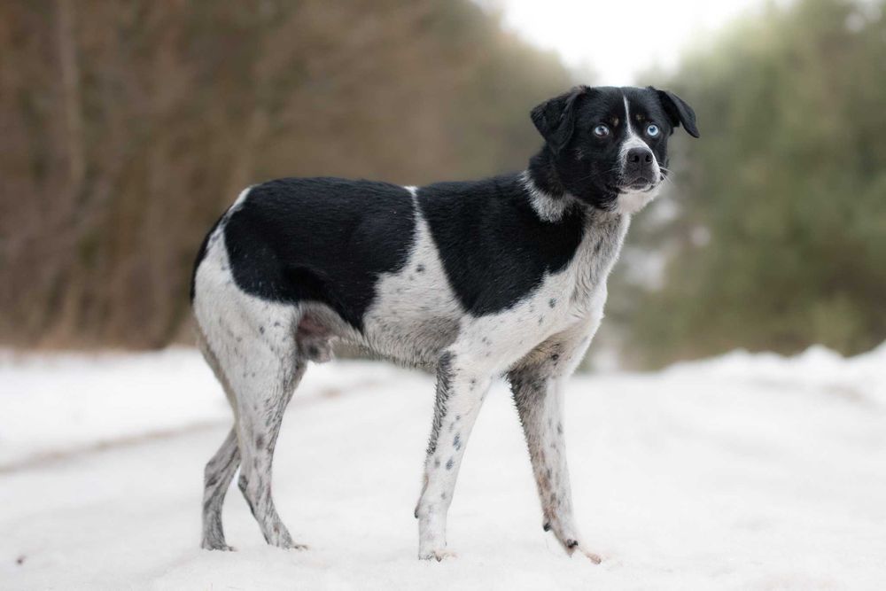 Ksawerio: energiczny, otwarty, entuzjastyczny