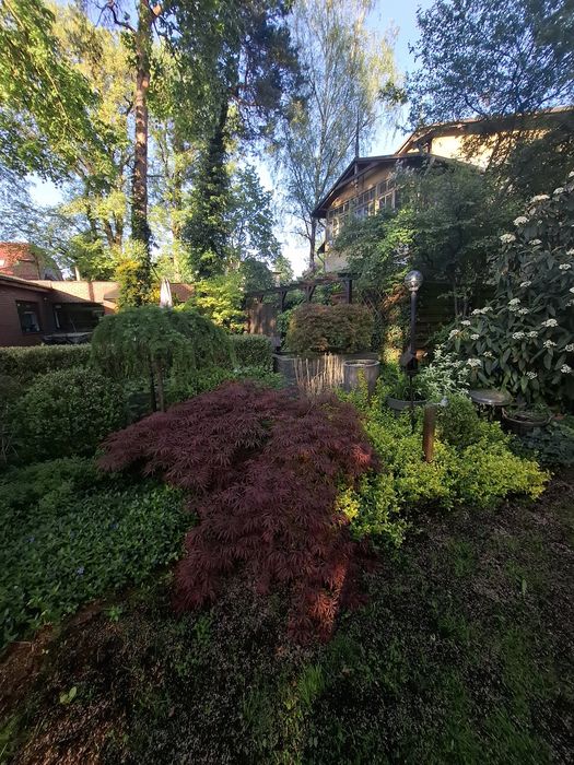 ONLINE オンライン Język japoński 日本語 - Korepetycje/ nauka języka japońskieg