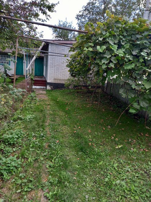Продається дім у селі Світличне