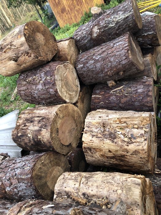 Faço pequenos serviços part time