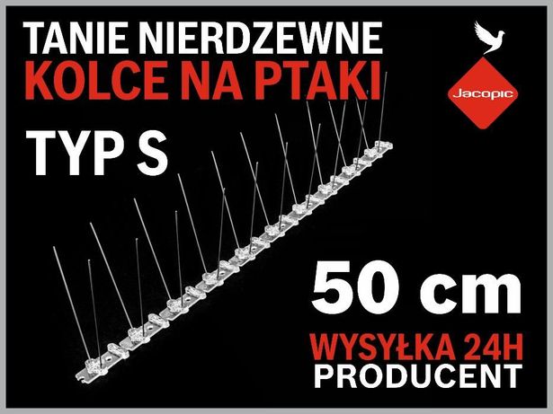 Kolce na ptaki warszawa
