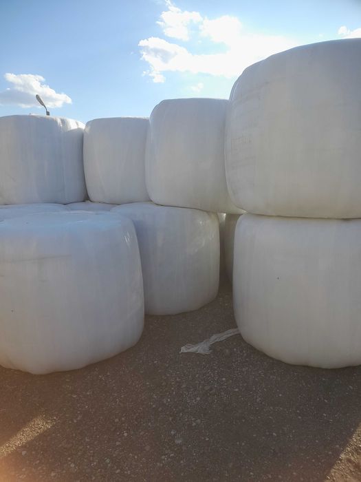 Sprzedam bele 130x120 siana,  sianokiszonki z lucerny i kończyny