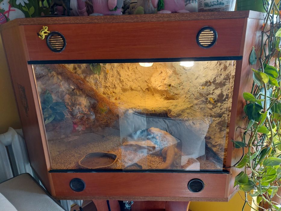 Terrarium narożne 70×70×100
