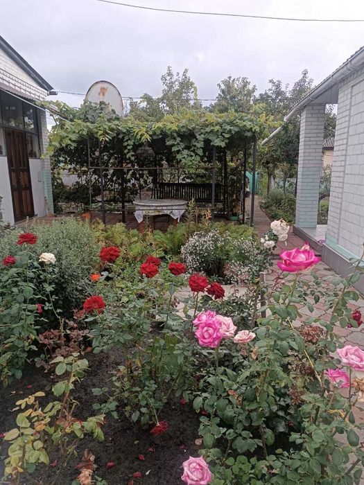 Продається два будинки