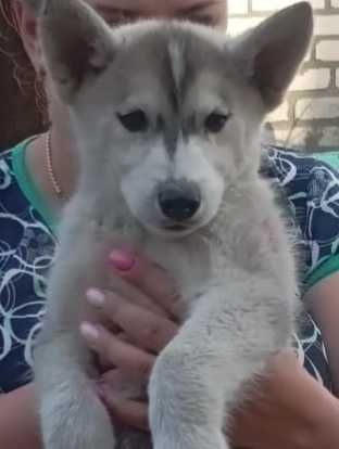 Лишився один хлопчик. Родились 6 квітня