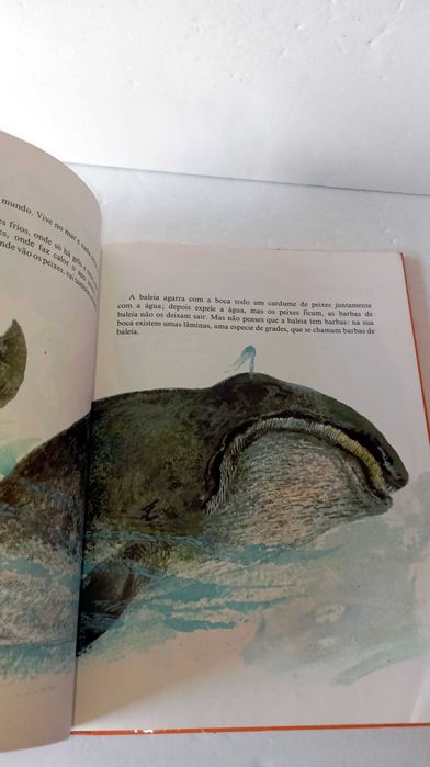 O Meu Primeiro Livro de Zoologia - Livro Antigo