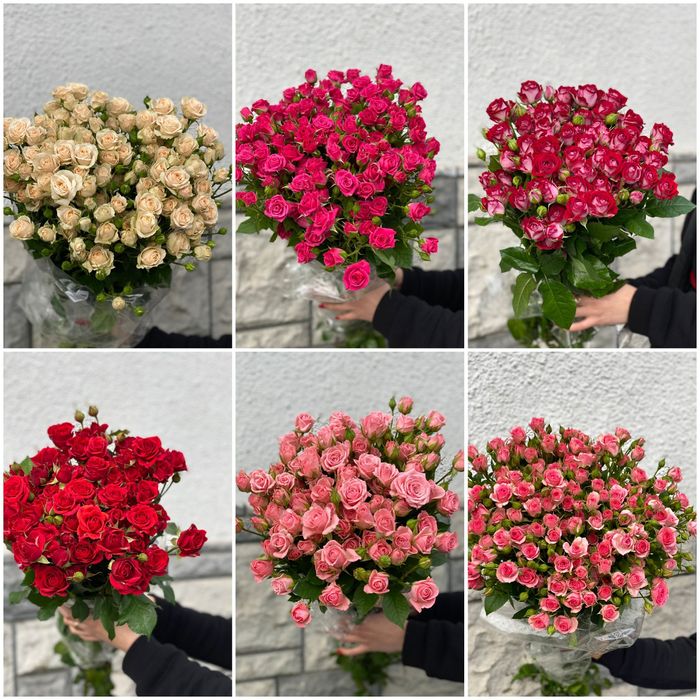 Роза Троянда Квіти від виробника з доставкою по Україні