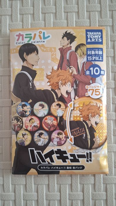 Pins de lata (can badges) tamanho L haikyu oficiais