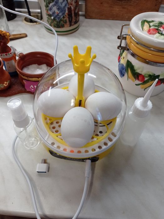 Инкубатор для яиц інкубатор для яєць автоматичний