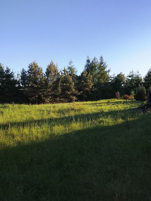 Piękna działka  budowlana w Bogdaszowicach