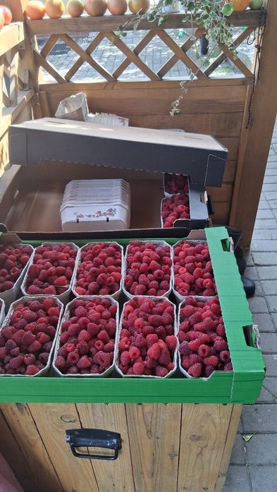 Sprzedam swierze maliny