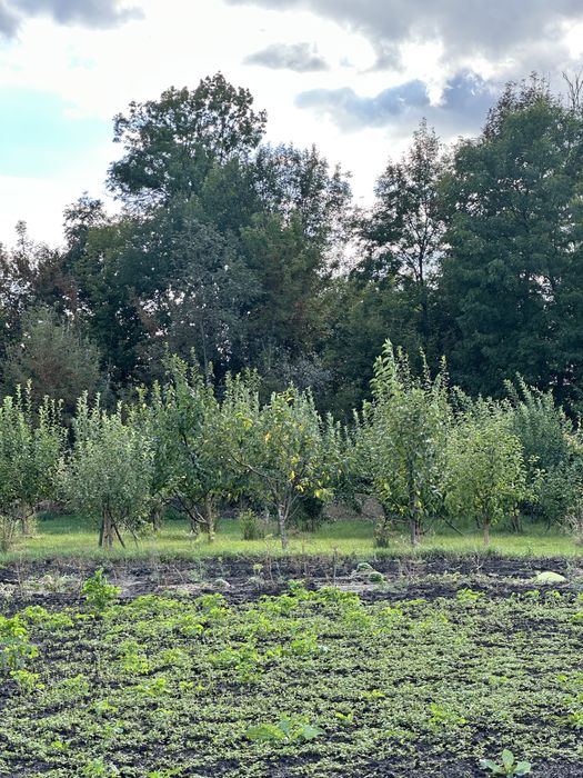 Продам будинок в смт. ВОЛОДАРКА