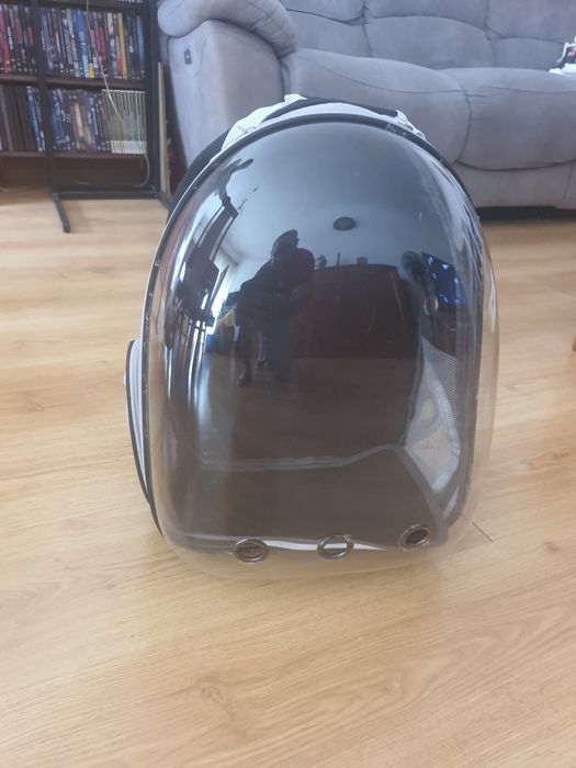 Transporte para gatos