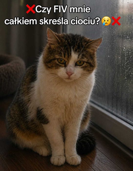 Loopuś czeka już tak długo... Czy to właśnie Ty go pokochasz?
