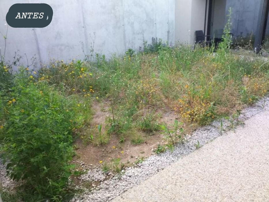 Serviços de Jardinagem/ Jardineiro/ Jardim