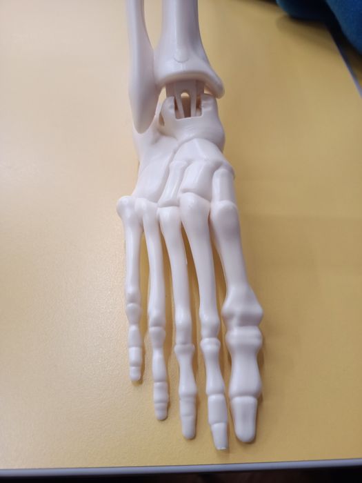 Sprzedam zdjęcie stopy mojej dziewczyny