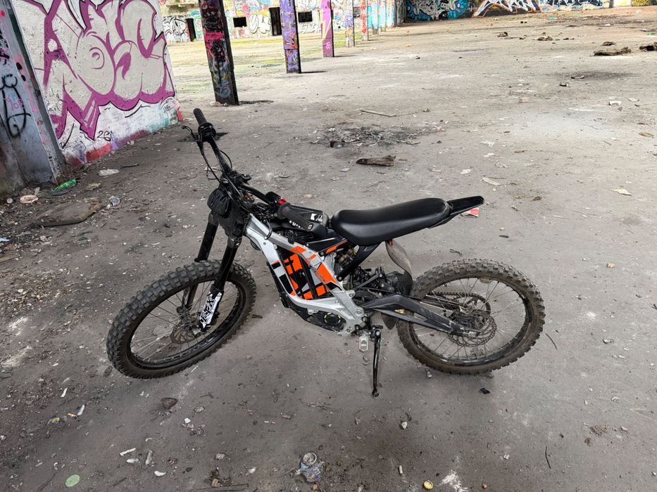 Surro light bee x 2022r
