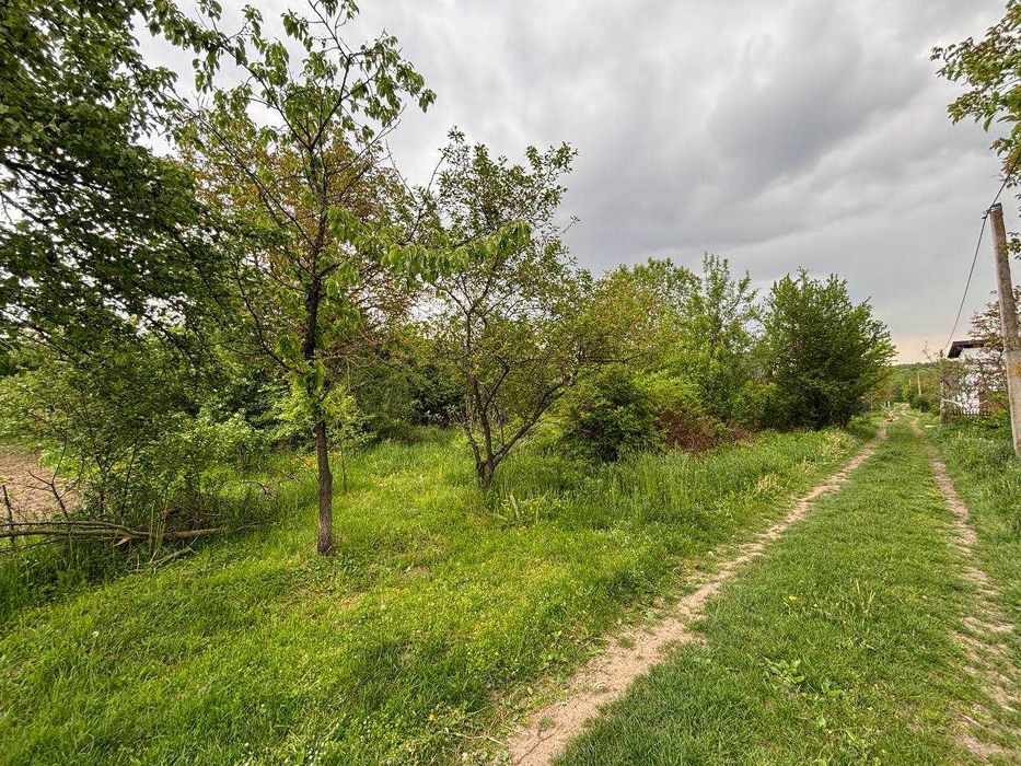 Продається ділянка 6 соток. с.Тязів. СТ "Хімік-2". Ліс. Світло
