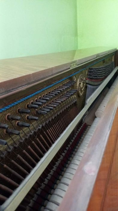 Zadbane Pianino Calisia