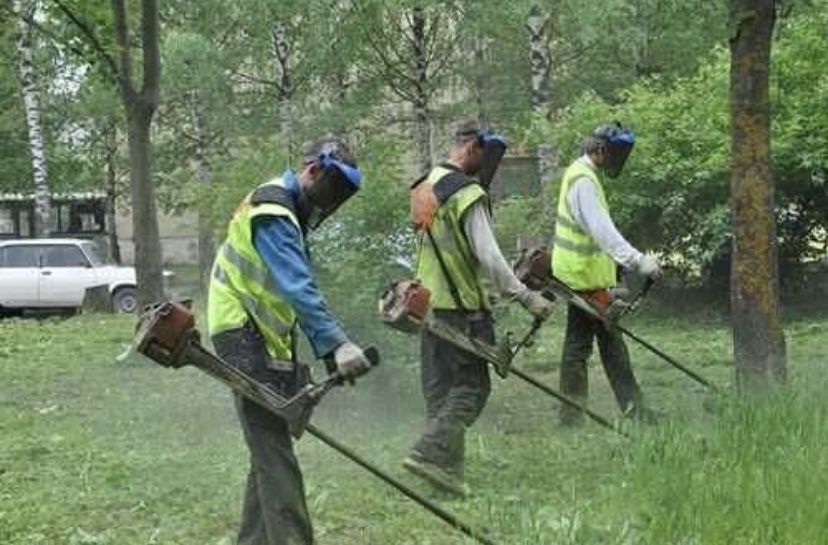 Расчистим участок/Уборка территории/Вывоз