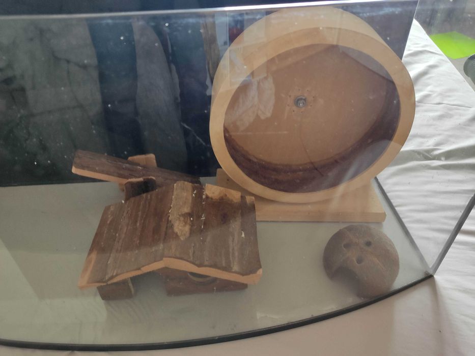 Akwarium dla chomika plus akcesoria