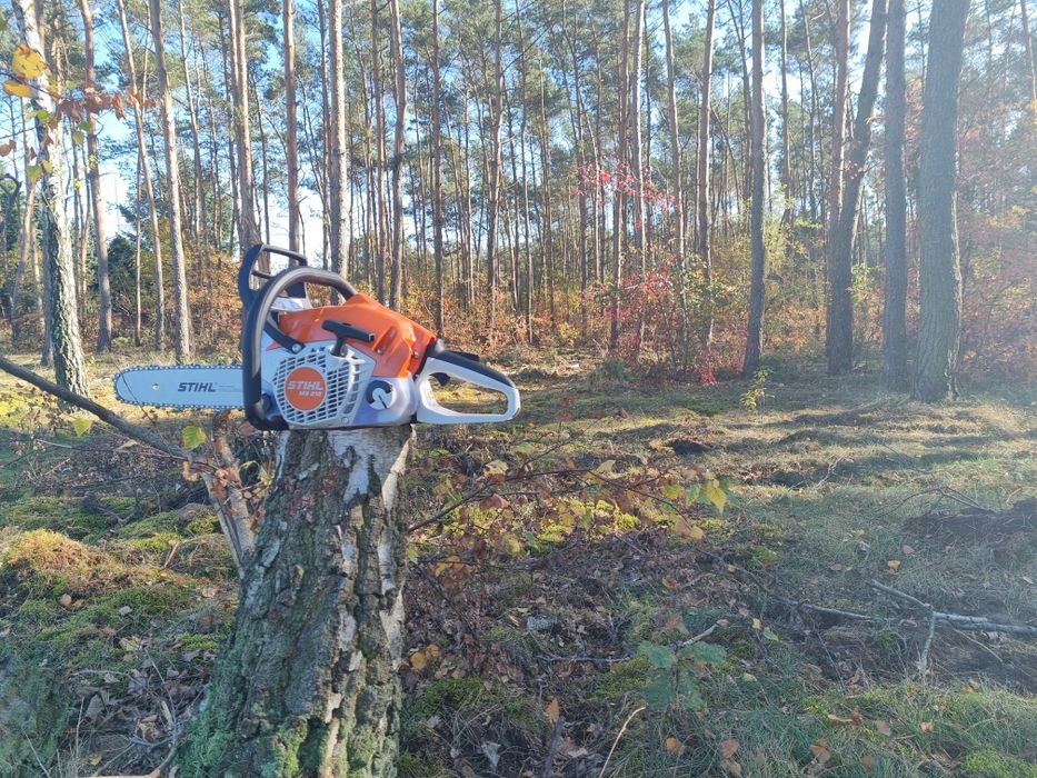 Usługi ogrodnicze Grześ