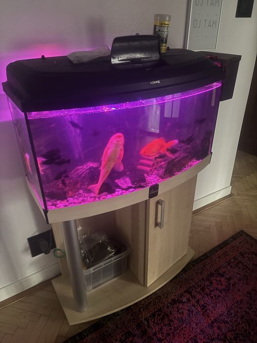 Akwarium 115 litrow Diverse