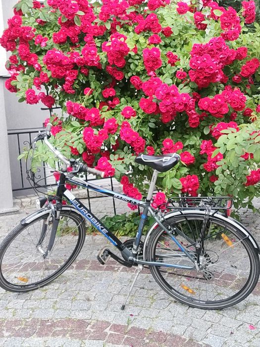 Rewelacyjny rower trekkingowy EUROBIKE Basic 0.2