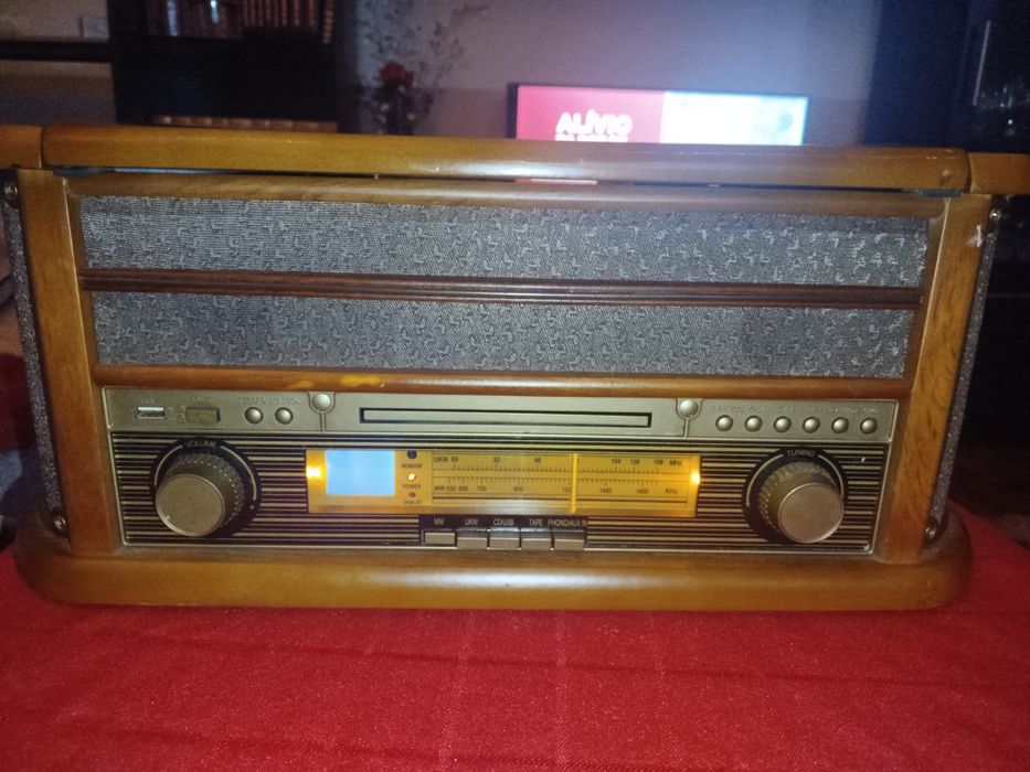 Gira Discos Soundmaster NR513