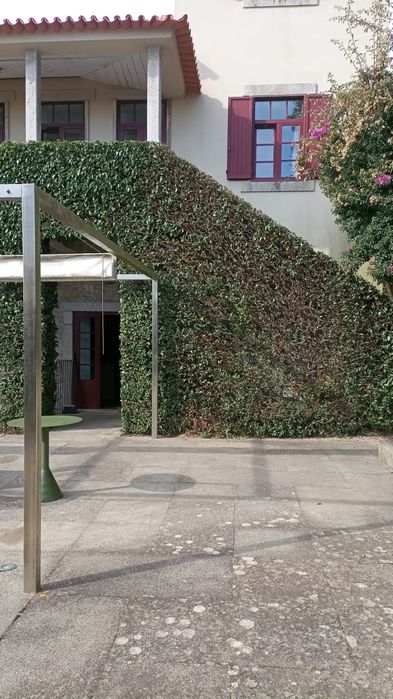 Rui Dias - Jardinagem e Limpeza de Terrenos