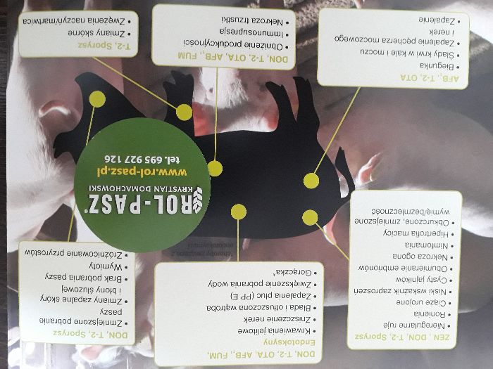 mycofix plus 5E preparat na mykotoksyny w paszach lochy knury prosięta