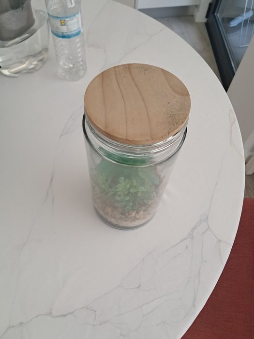 Planta artificial decorativa