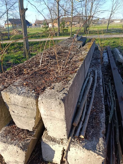 Прогони бетонні 6 м довжина 40*30 в середині армовано 32 арматура. Ціна  1800 грн за 1 прогони.