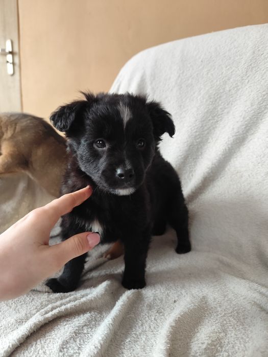 Tylko do właściwego domu