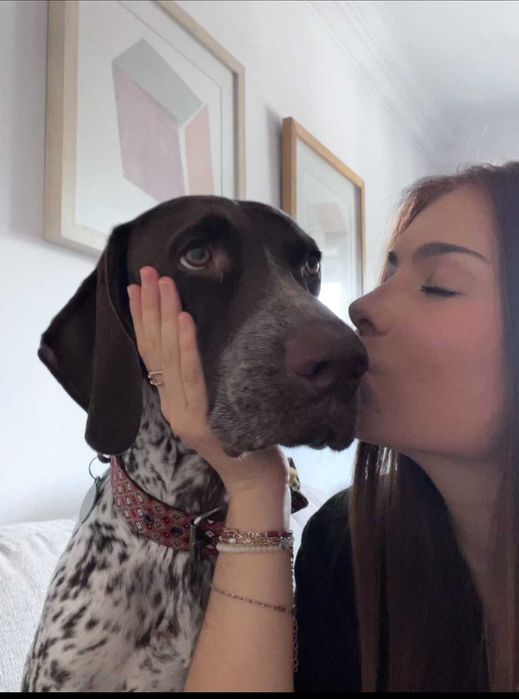 Petsitting e Dogwalking