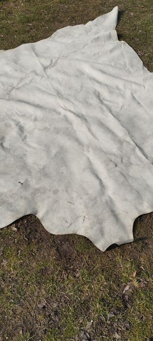 Skóra naturalna bydlęca 190x160 cm