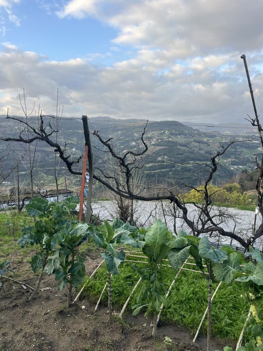 Terreno para construcao com PIP aprovado