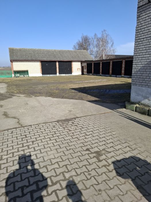 Dom,gospodarstwo, zabudowa, działka - View 3