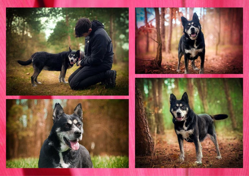 ANOE - marzy o nowym domu i rodzinie