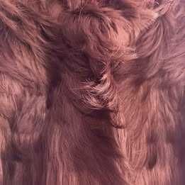 Casaco de cerimónia em cabelo artificial #