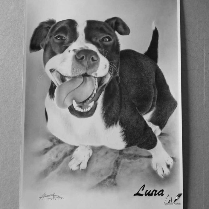 Desenho Retrato de animais grafite e carvão