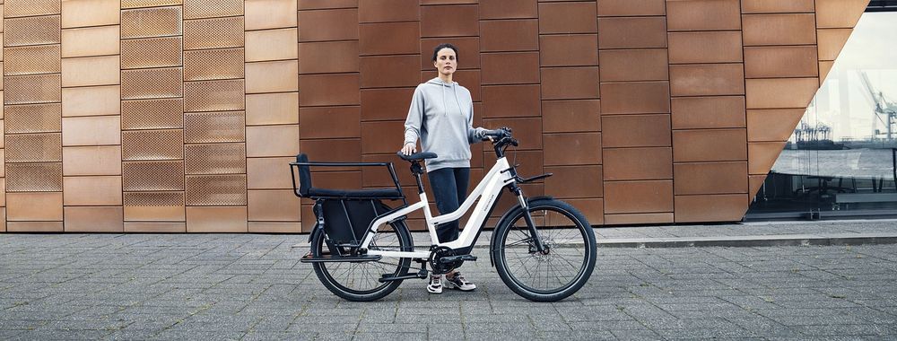 Riese & Muller Multicharger Mixte GT touring (47 cm)