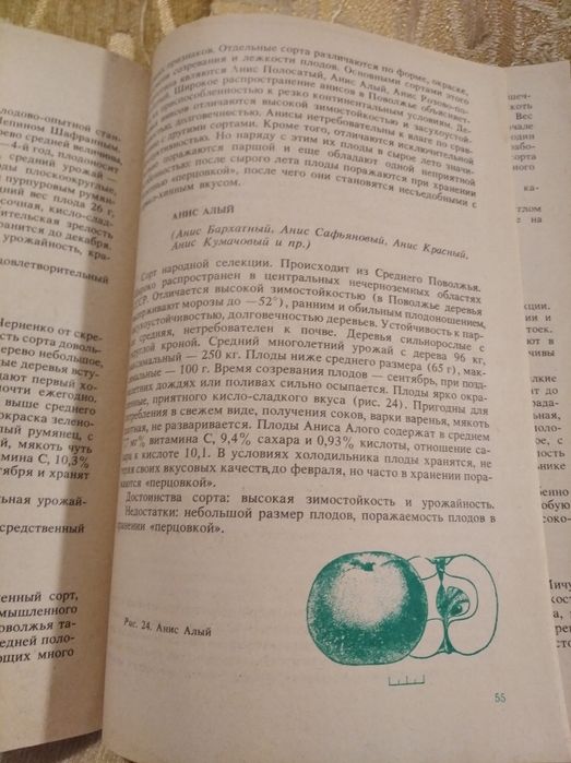 Яблоня в вашем саду Гусева И.Н. 1991 книга садовода советы садовнику