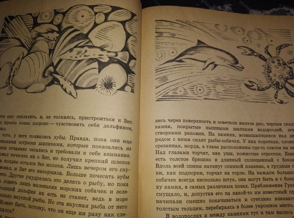Трункатов Приключения Гука