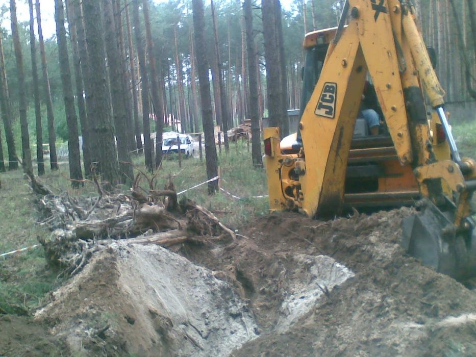 Зрізання дерев обрізка Подрібнення гілок Розчищення ділянок Демонтаж.