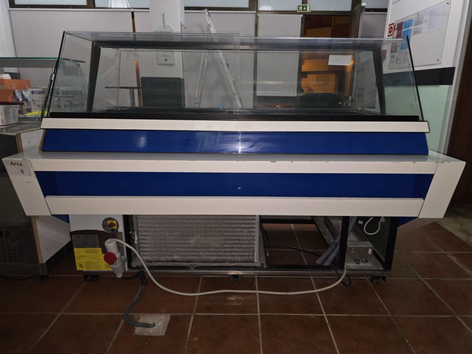 Vitrine profissional de gelados